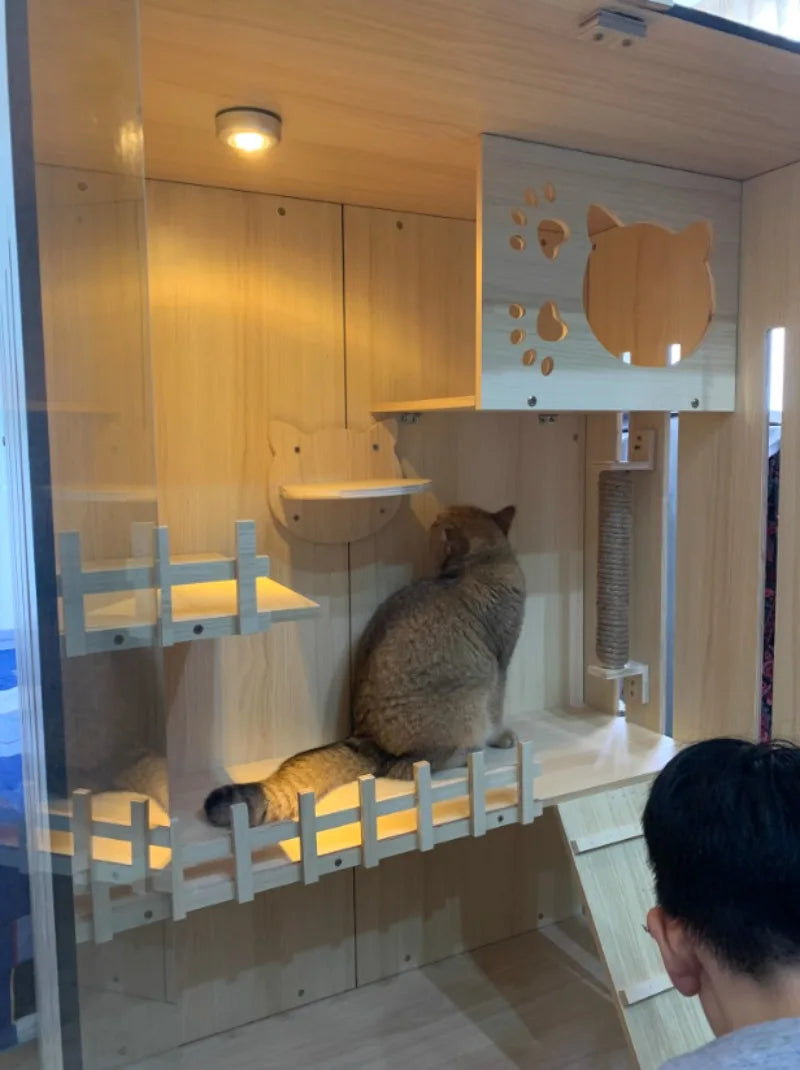 Modern Wooden Cat Villa